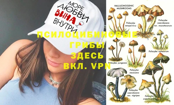 эйфоретик Куйбышев