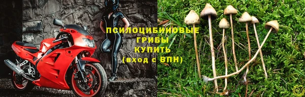 кокаин колумбия Ладушкин