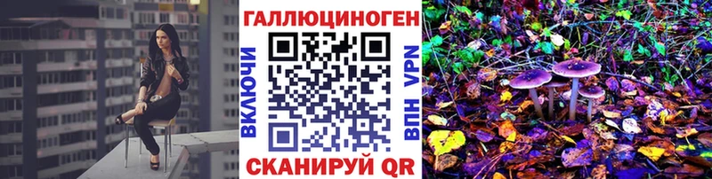 Псилоцибиновые грибы Psilocybe  Лабинск 