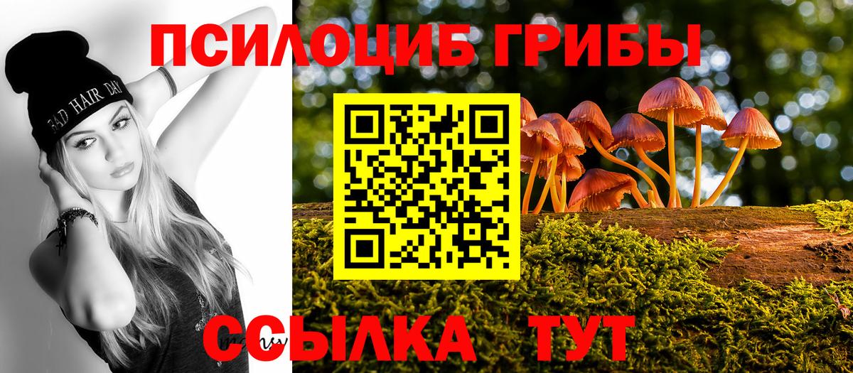 Галлюциногенные грибы GOLDEN TEACHER Лабинск